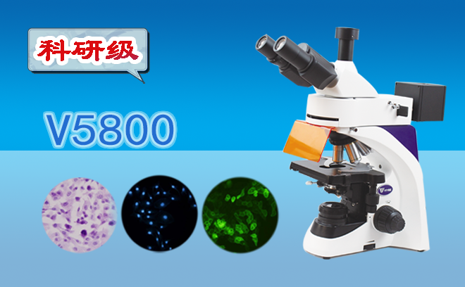 熒光草莓视频黄色下载的使用方法介紹