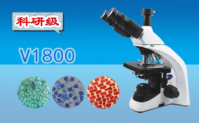你知道怎麽具體的分辨生物草莓视频黄色下载與工業草莓视频黄色下载嗎？