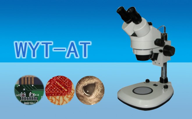 體視草莓视频黄色下载在植物學領域中的應用介紹